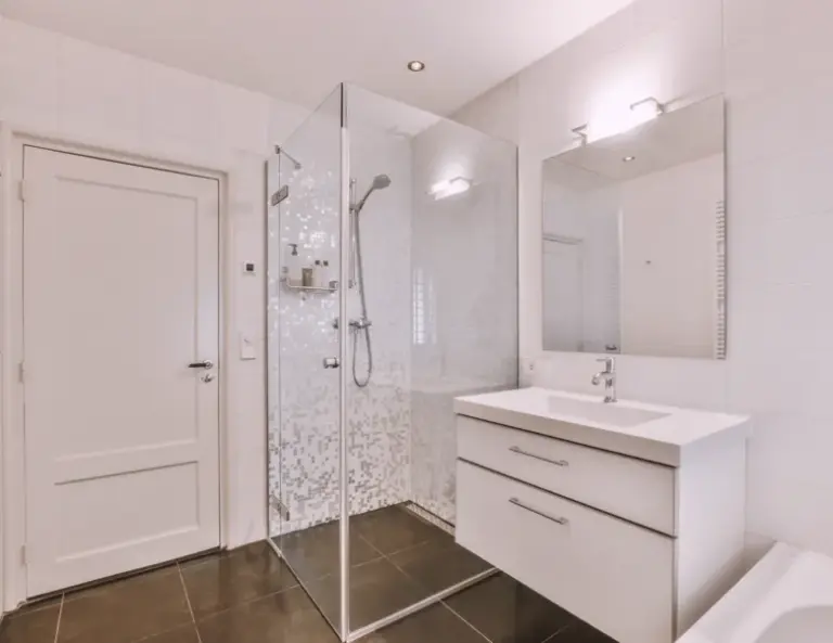 Serveis i construccio Rehabilitacion de bano adaptado en C Centre el Prat de Llobregat